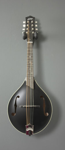 Collings MT Collings MT