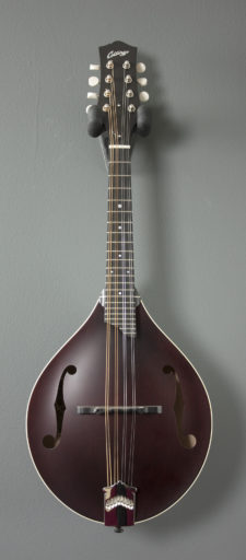 Collings MT Collings MT