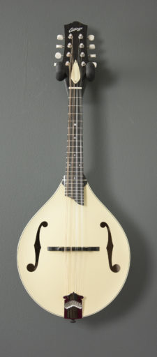 Collings MT Collings MT
