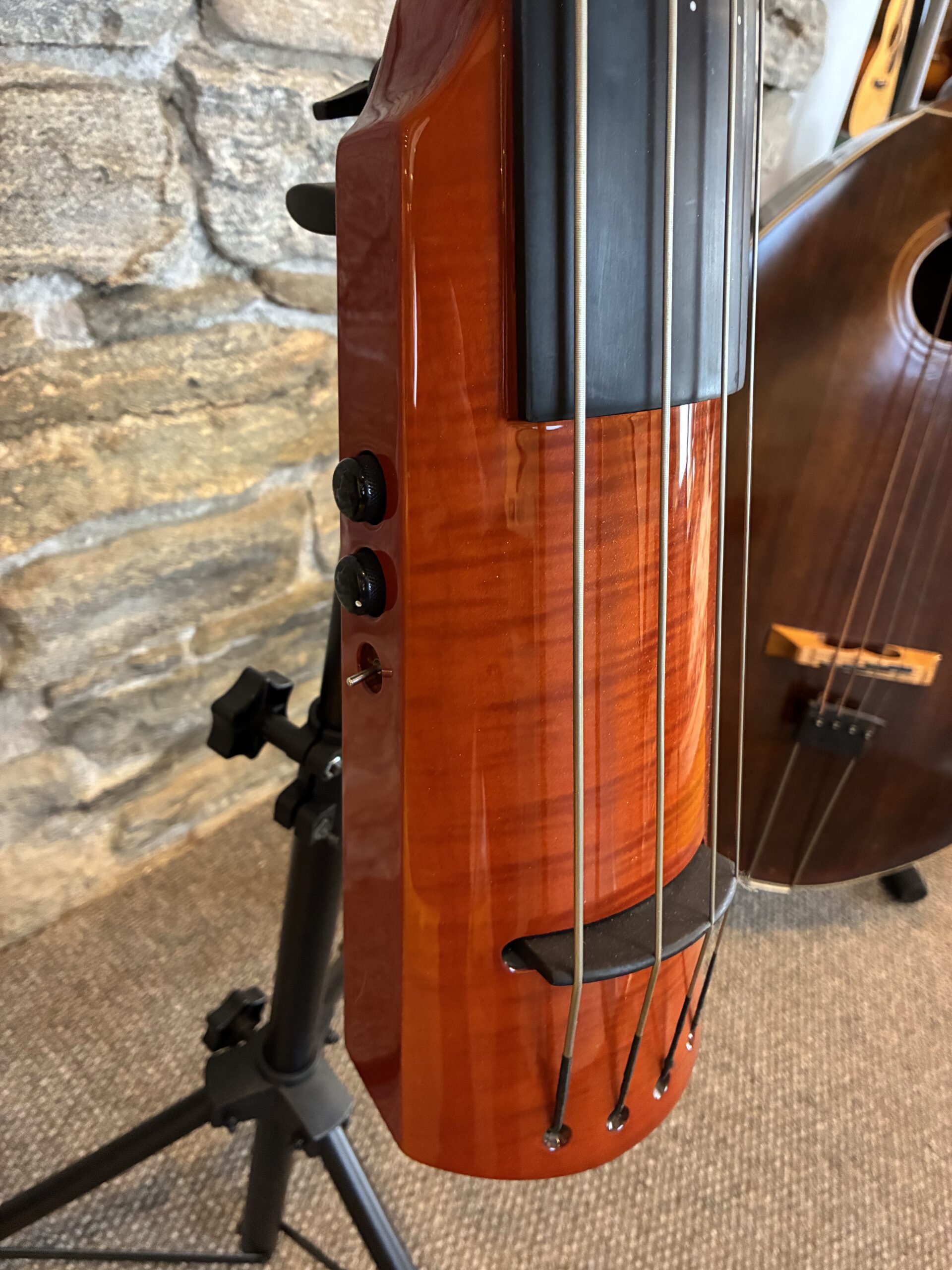 NS Wav 4 Upright Bass - Image 2