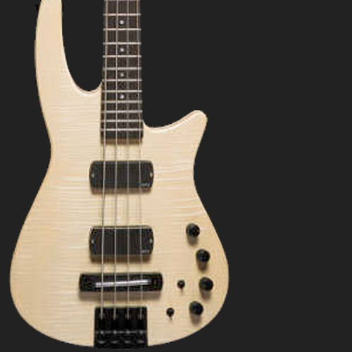 Bass Guitars