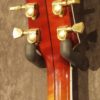 Campellone Custom Std 2001 - Image 5