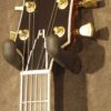 Campellone Custom Std 2001 - Image 6