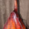 Eastman DGM3 - Image 2