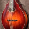Eastman DGM3 - Image 4