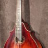 Eastman DGM3