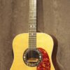Elger Brazliian D 1964