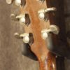 Elger Brazliian D 1964 - Image 5
