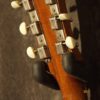Epiphone Texan 1966 - Image 5