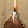 Gibson A-2 Snakehead 1923 - Image 2