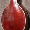 Gibson A-4 Snakehead 1924 - Image 3