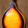 Gibson A-50 Zook - Image 3