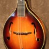 Gibson A-50 Zook - Image 4