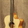Goodall Grand Concert Cutaway