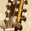Goodall Grand Concert Cutaway - Image 4