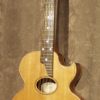 Knutson Songbird