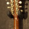 Knutson Songbird - Image 5
