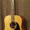 Martin D-21 1969