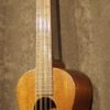 Martin Tiple T-17 1928