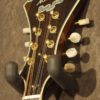 Monteleone Grand Artist - Image 6