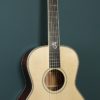 Santa Cruz H-12