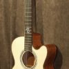 Santa Cruz Custom F