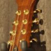 Sobell Octave Mandolin - Image 6