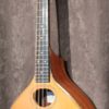 Sobell Mandolin