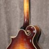 Weber Mandocello - Image 2