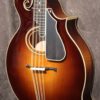 Weber Mandocello - Image 4