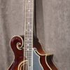 Weber Mandocello