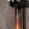 Weber Mandocello - Image 5