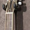 Weber Mandocello - Image 6