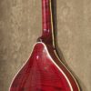 Weber Vintage A Mandolin - Image 2