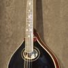Weber Vintage A Mandolin