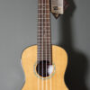 Kala Gloss Solid Cedar Top Acacia Concert w/ Case