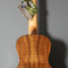 Kala Gloss Solid Cedar Top Acacia Concert w/ Case - Image 2