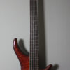 Beauregard Custom Fretless 5 String