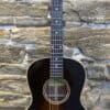 Eastman E10OOSS Thermo-Cured