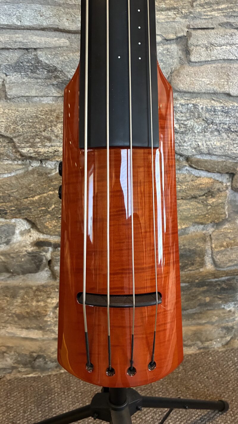 NS Wav 4 Upright Bass